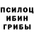 Псилоцибиновые грибы прущие грибы Jonik Norov