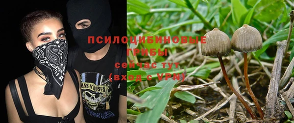ALPHA PVP Покачи