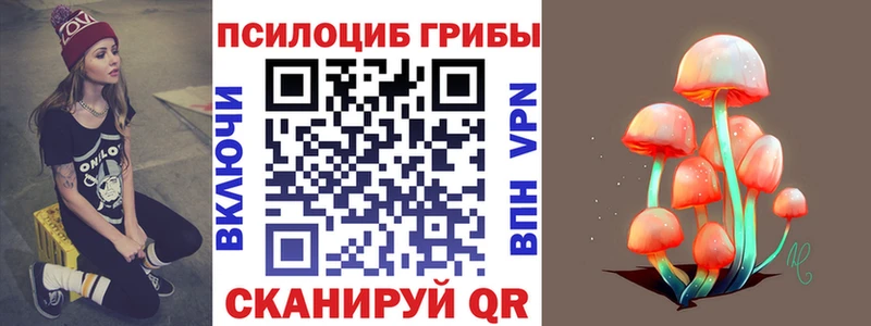 Псилоцибиновые грибы Psilocybe  Никольск 